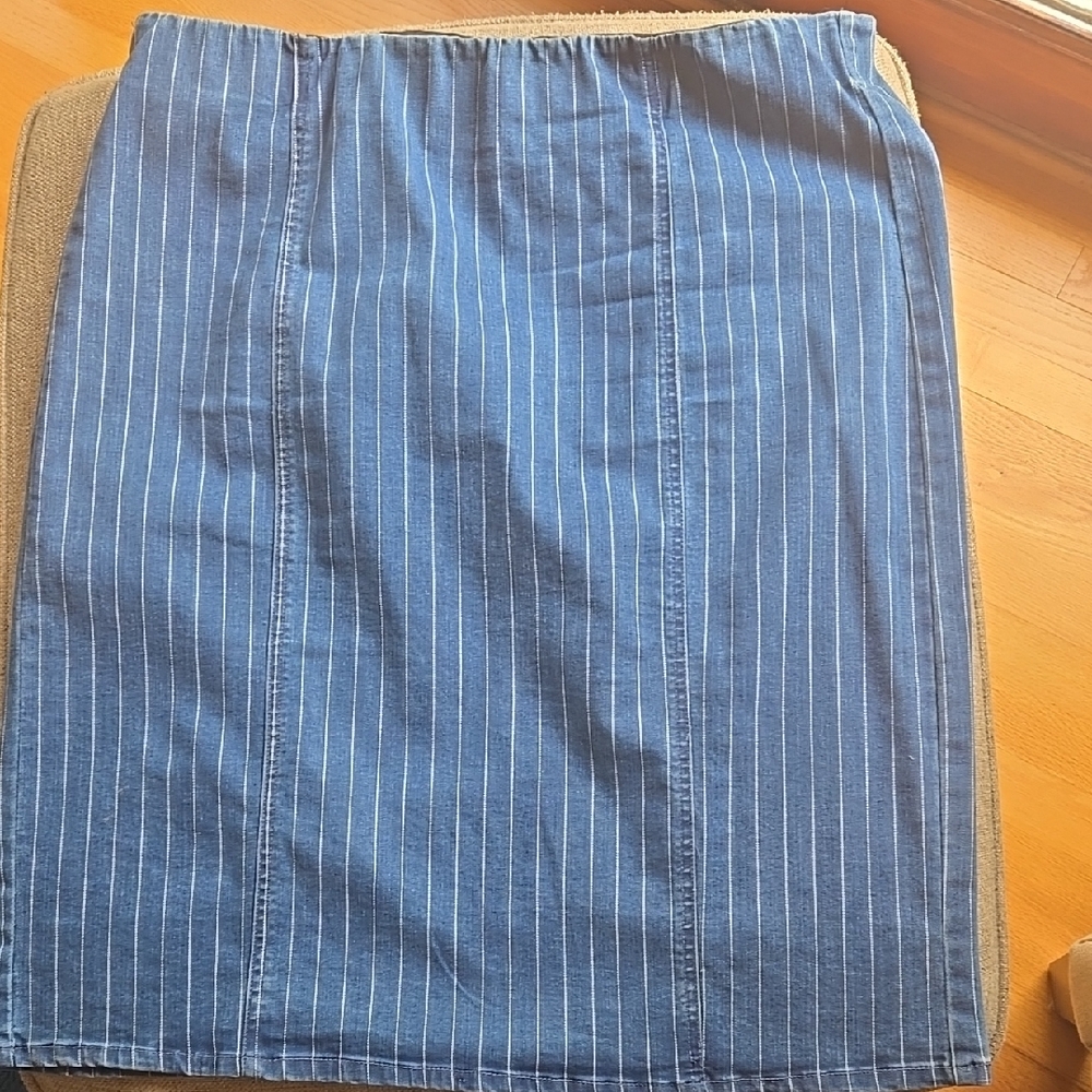 Blue Striped Skirt